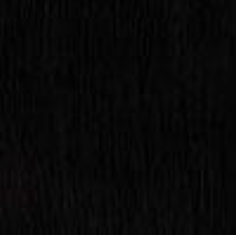 Dream Hair 4X Flätningshår Pre Stretched (170g)